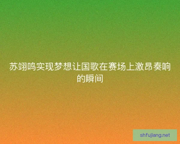 苏翊鸣实现梦想让国歌在赛场上激昂奏响的瞬间