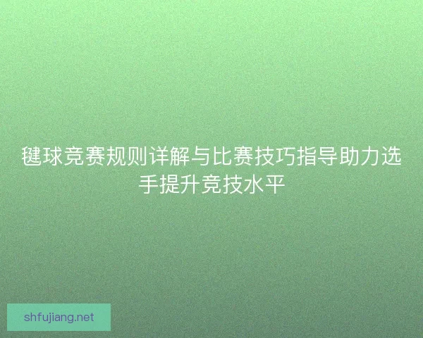 毽球竞赛规则详解与比赛技巧指导助力选手提升竞技水平